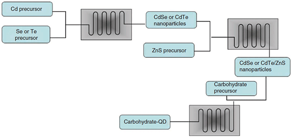 Continuous-flow reactor-based synthesis of carbohydrate and dihydrolipoic acid-capped quantum dots