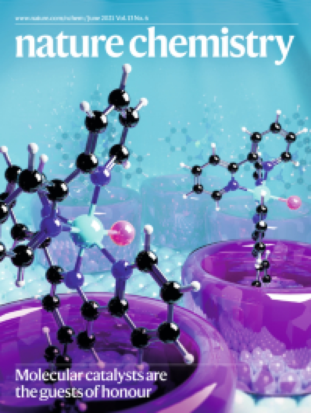 Nature Chemistry Cover