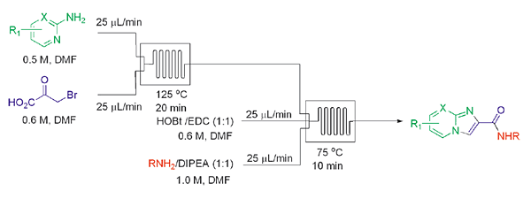 Fully Automated Continuous Flow Synthesis of Highly Functionalized Imidazo[1,2-a] Heterocycles