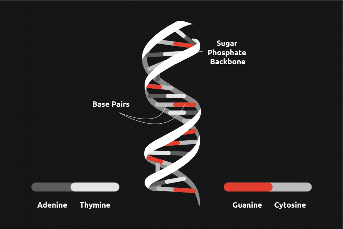 The range of chemistry technology enabling polymerization
